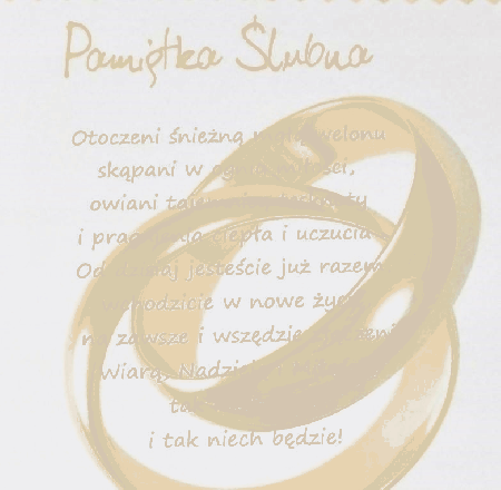 Otoczeni śnieżną mgłą